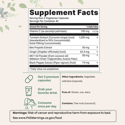 Turmeric Curcumin 1,000mg