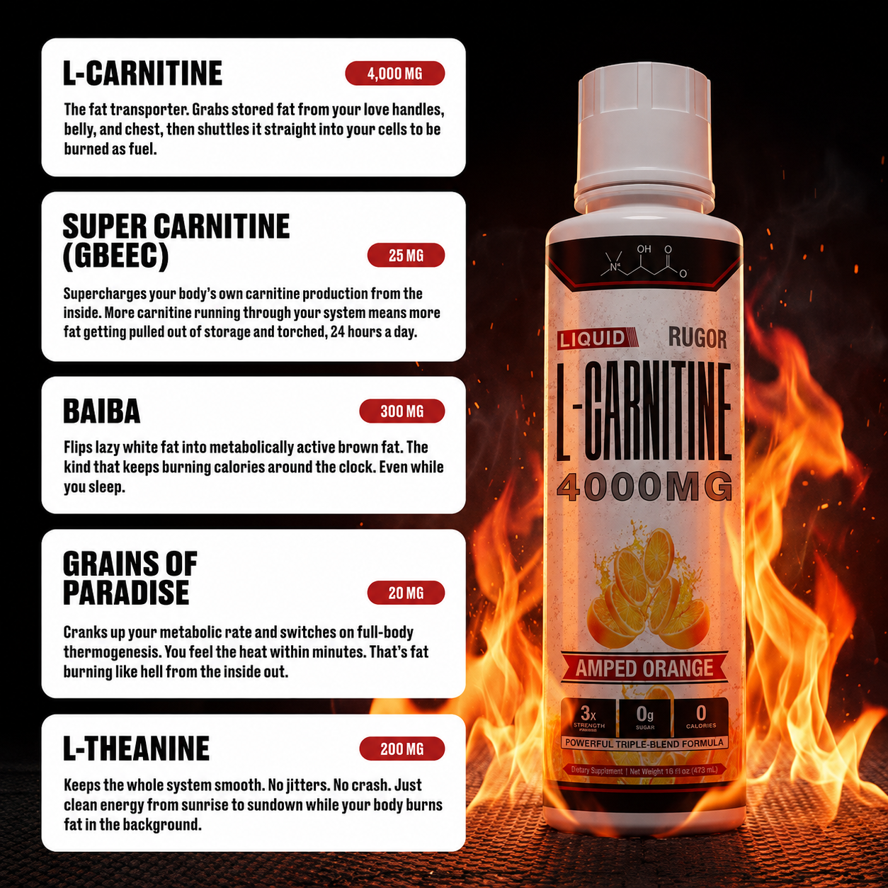 Liquid L-Carnitine 4000MG