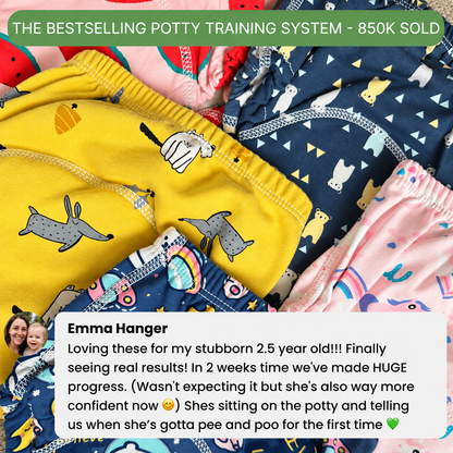 Potty Training Underwear