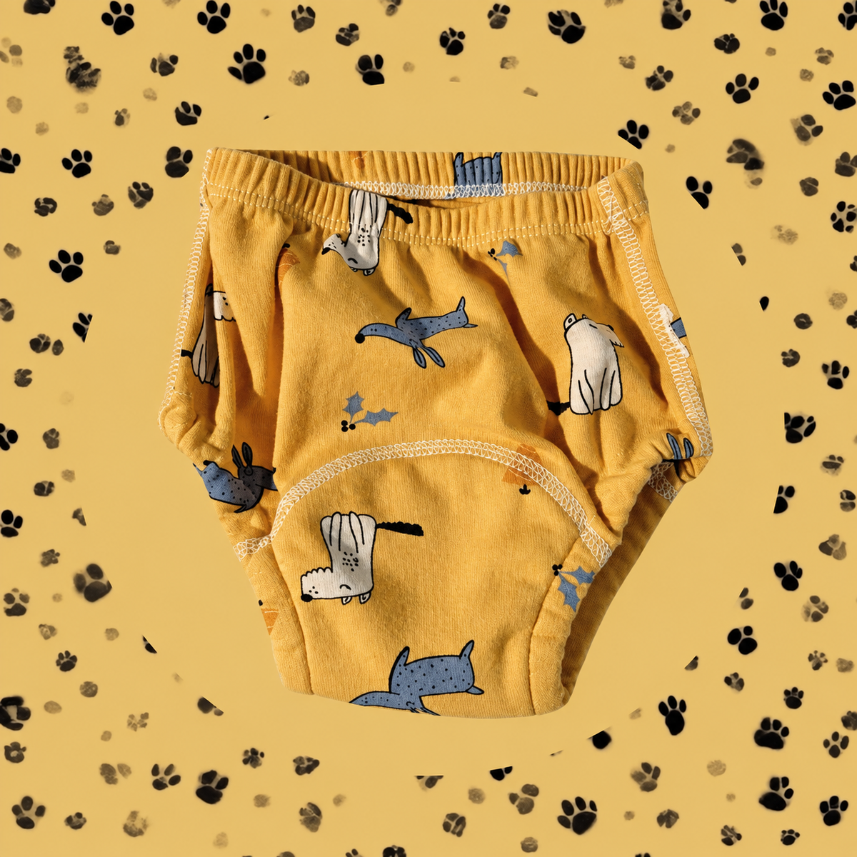 Potty Training Underwear