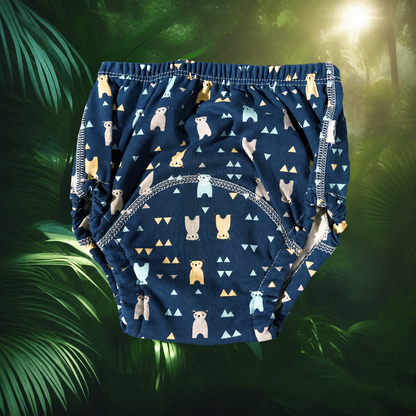 Potty Training Underwear