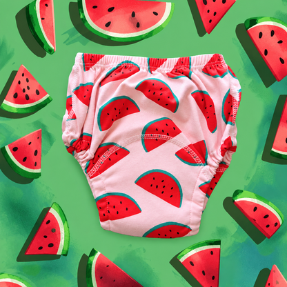 Potty Training Underwear