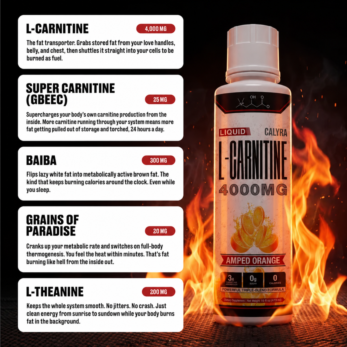 Liquid L-Carnitine 4000MG